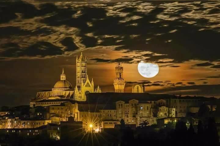 Agriturismo Colombino Siena Kültér fotó