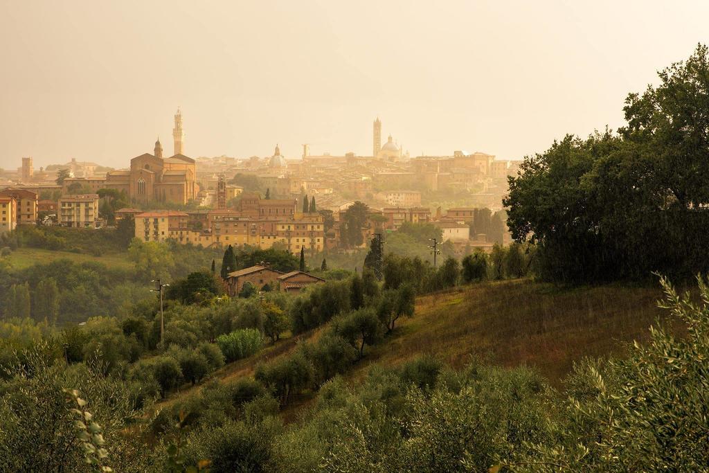Agriturismo Colombino Siena Kültér fotó