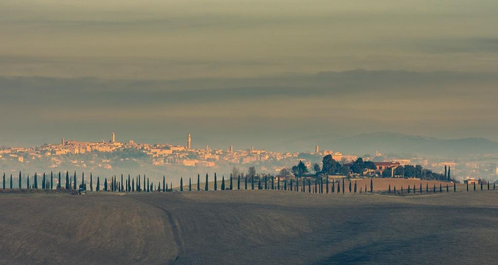 Agriturismo Colombino Siena Kültér fotó